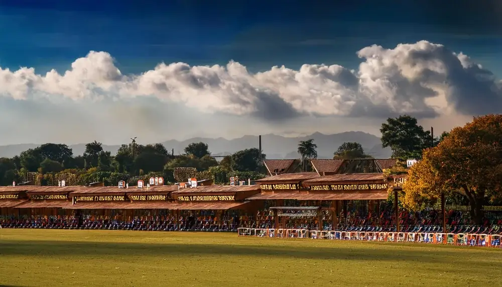 Quiet cricket ground under cloudy skies, Skyexchange disclaimer page
